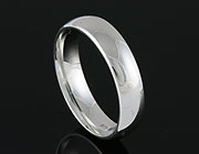 Partnerring 100420  