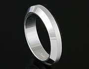 Partnerring 100481  