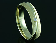 Partnerring 100579