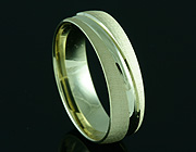 Partnerring 100581