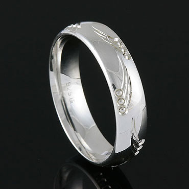 Freundschaftsring 100145  ring-und-schmuck.de
